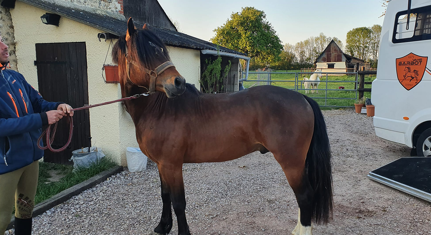 EQUIPEMENT ET SOIN DU CHEVAL - devubel.fr