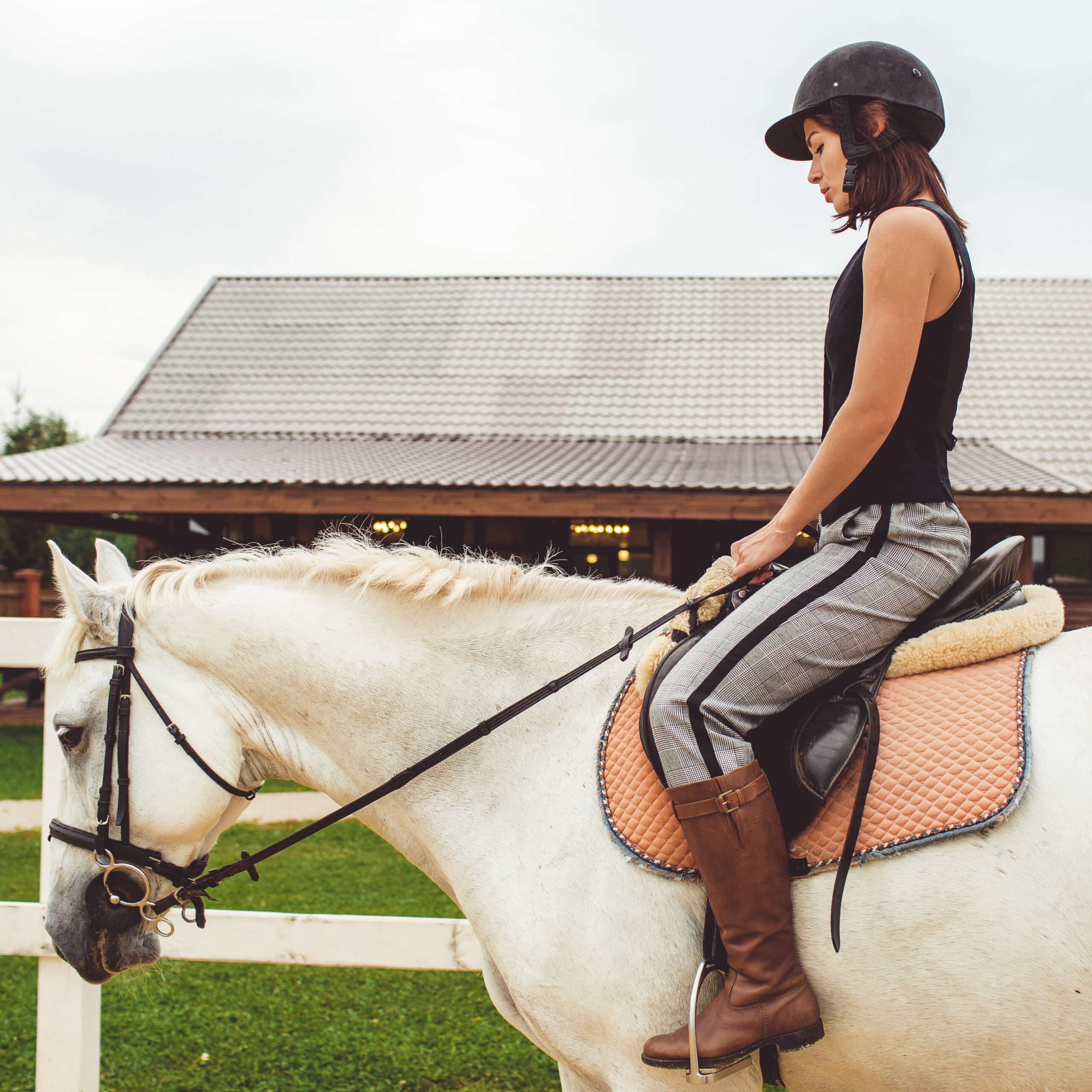 EQUIPEMENT ET SOIN DU CHEVAL - devubel.fr