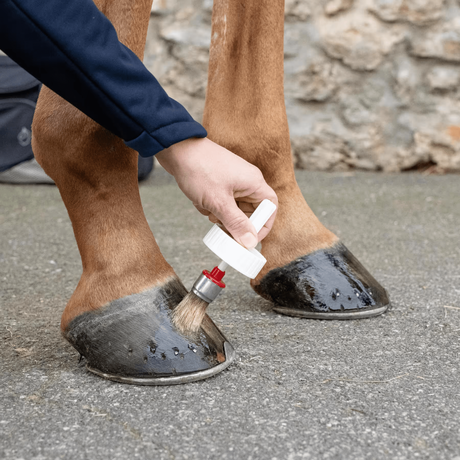 EQUIPEMENT ET SOIN DU CHEVAL - devubel.fr